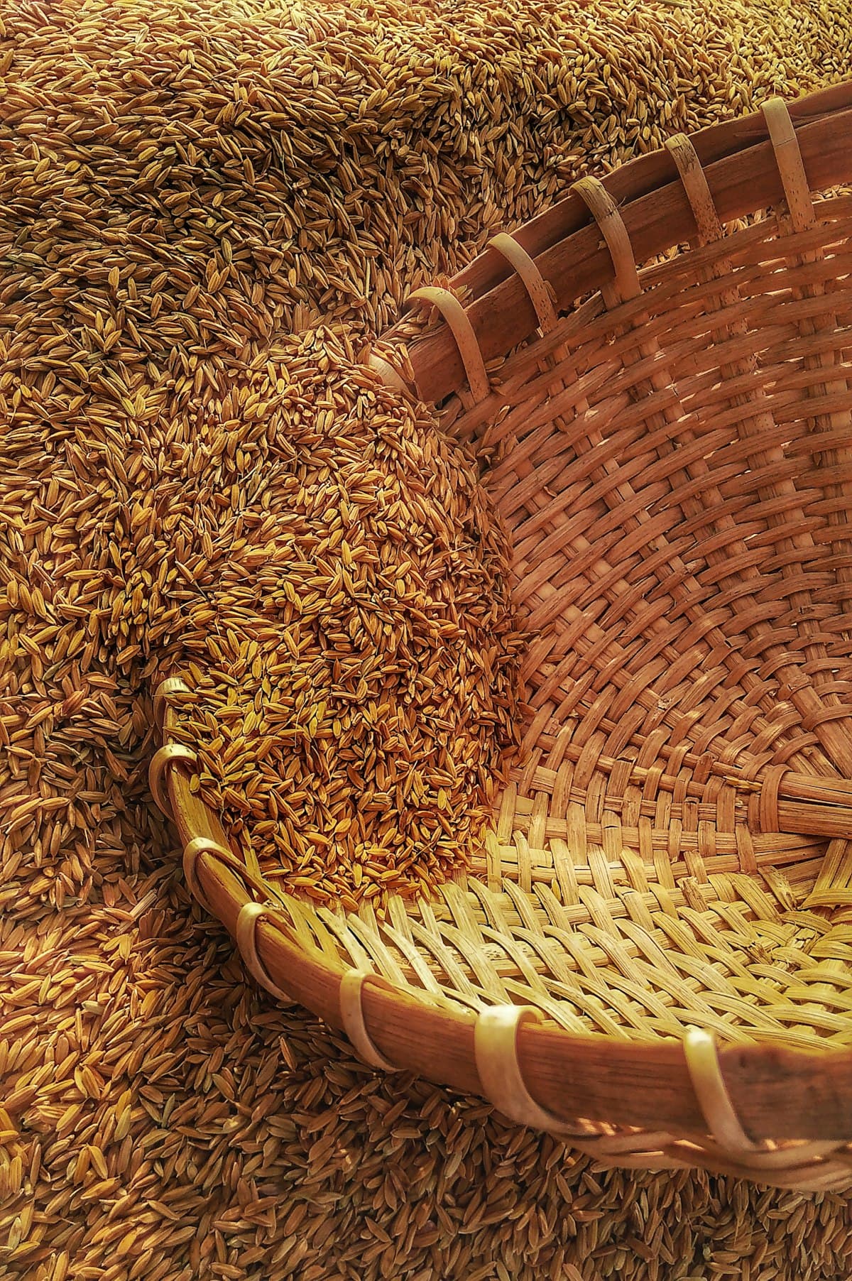 Rice grains in a woven basket